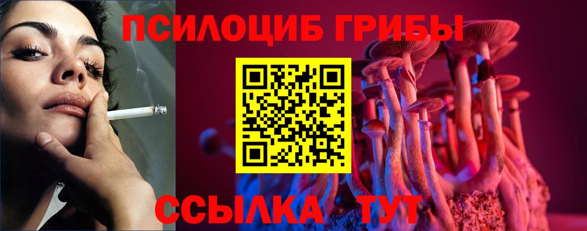 Семёнов  Галлюциногенные грибы мухоморы  Псилоцибиновые грибы Psilocybine cubensis  что такое   Вход с VPN 